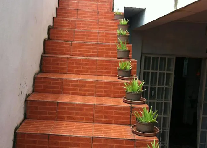 Bob Apartments